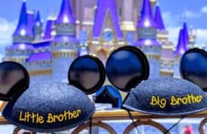 Ranking Disney World Baby Centers From Worst To Best