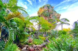 Watch These 5 Movies Before Visiting Disney's Animal Kingdom!