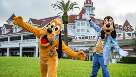 Wow! Disney+ Subscribers can save BIG on Disney World Resorts!