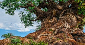 An Adventurer's Spirit: The Story of Joe Rohde