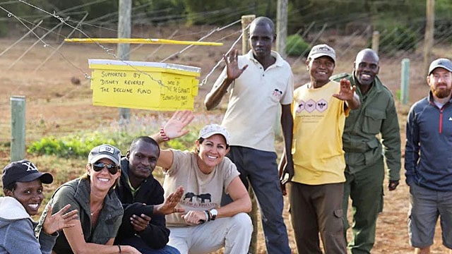 Check out a unique way Disney protects wild elephants and supports local African communities