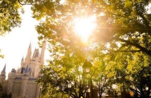 Delicious New Quick Service Option in the Magic Kingdom
