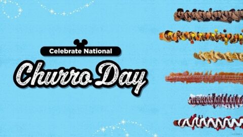 Vote For The New Disney Churro Flavor In Honor of National Churro Day