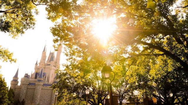 Popular Magic Kingdom Snack is now available all-day