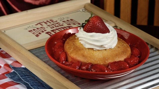 New updates to the Hoop-Dee-Doo show at Disney World