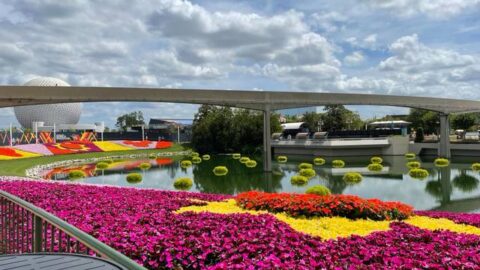 These Epcot Festival Treats Are A Must Try But Are Gone Soon!