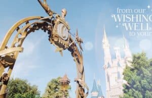 What happens to all of the "wishes" that get tossed into Disney's waterways?