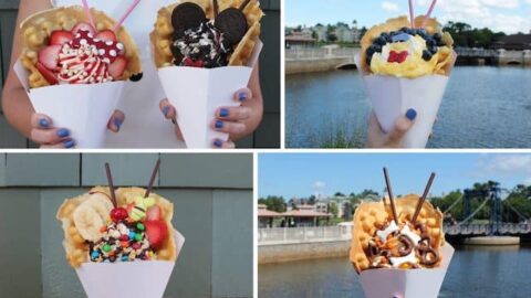 The Best Snacks in Magic Kingdom According to Disney Fans!