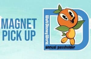 Disney Just Announced a New Free Orange Bird AP Magnet
