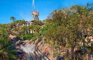 Heroic Lifeguard Rescues a Guest in Peril at Disney World