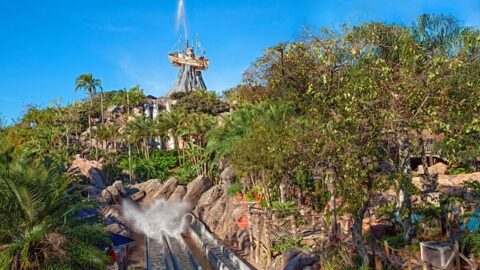 Heroic Lifeguard Rescues a Guest in Peril at Disney World