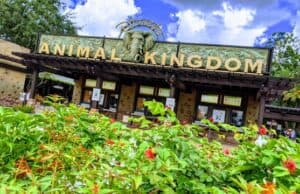 New Refurbishment Scheduled for Disney's Animal Kingdom