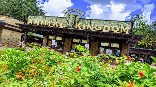 New Refurbishment Scheduled for Disney's Animal Kingdom