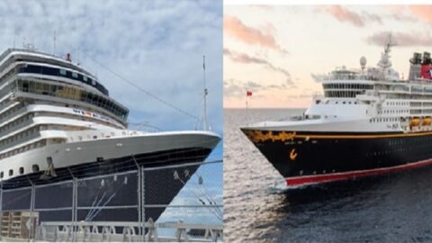 Sailing Holland America vs Disney Cruise Line