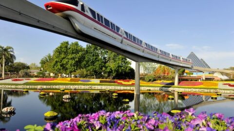 Select guests can receive hidden menu item at EPCOT