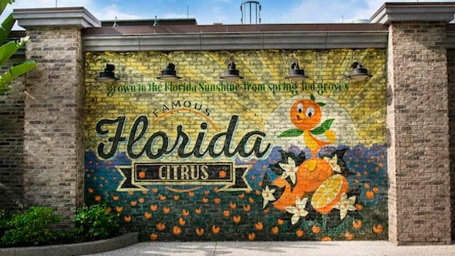 The Walt Disney Company Takes a Big Step Back Amid Florida Issues