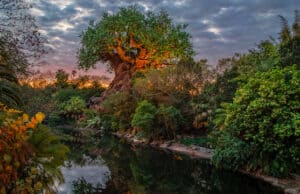Walt Disney World's newest show is now canceling additional performances