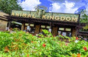 Popular Meet and Greet returns to Disney's Animal Kingdom on this date