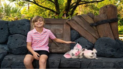 Check out the fun new Magic Shots at Walt Disney World