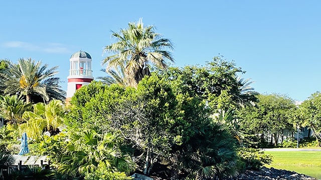 New menu items and brunch coming soon to Walt Disney World resorts