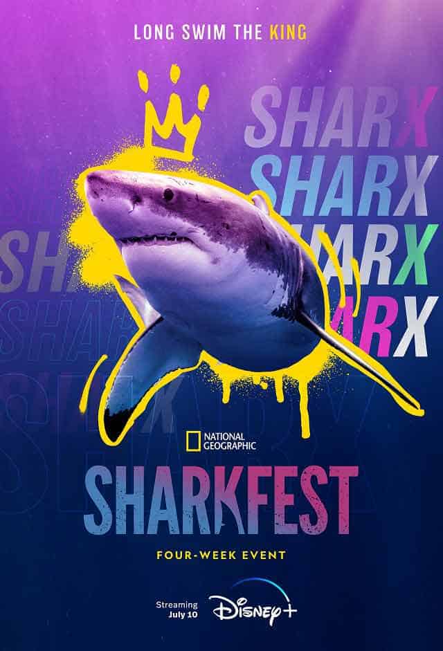 WHAT I MANAGED TO GET FROM THE SHARK EVENT