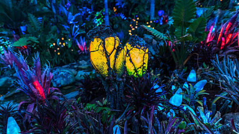 Enjoy Disney’s Animal Kingdom after dark with this Special Event
