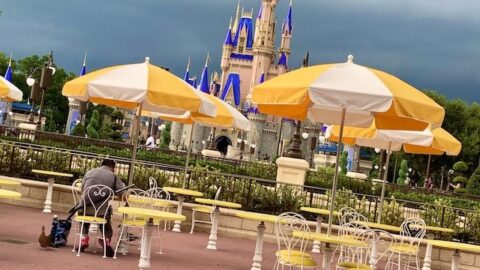 The best outdoor dining locations at Disney World