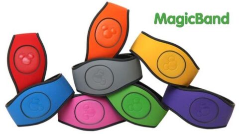 More MagicBand 2 Selections available now