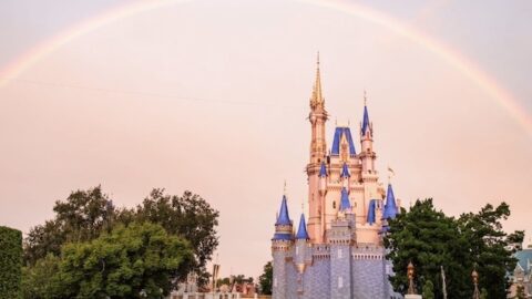 5 Best Places to Escape the Crowds at Magic Kingdom