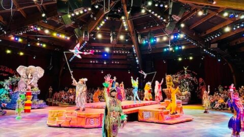 Changes coming to Festival of the Lion King
