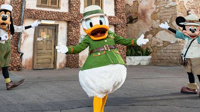 Popular Restaurant in Animal Kingdom Welcomes Back Buffet - Popular Restaurant in Animal Kingdom Welcomes Back Buffet -