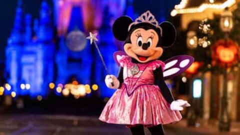Don’t Miss these Fun Hidden Characters at Mickey’s Not So Scary Halloween Party