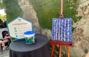 The Magic of Pin Trading with Your Kids at Disney