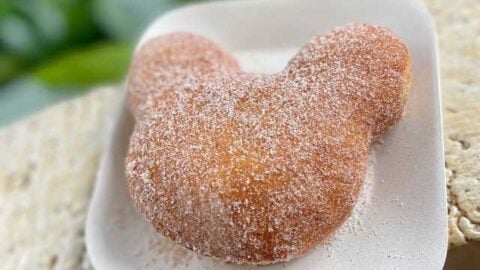 You Will love this Special Mickey Shaped Snack In Disney World