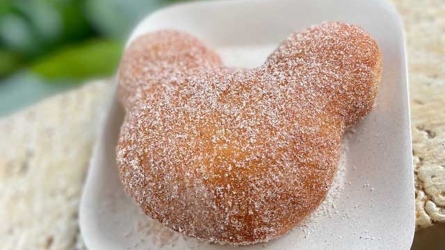 Disney World beignets