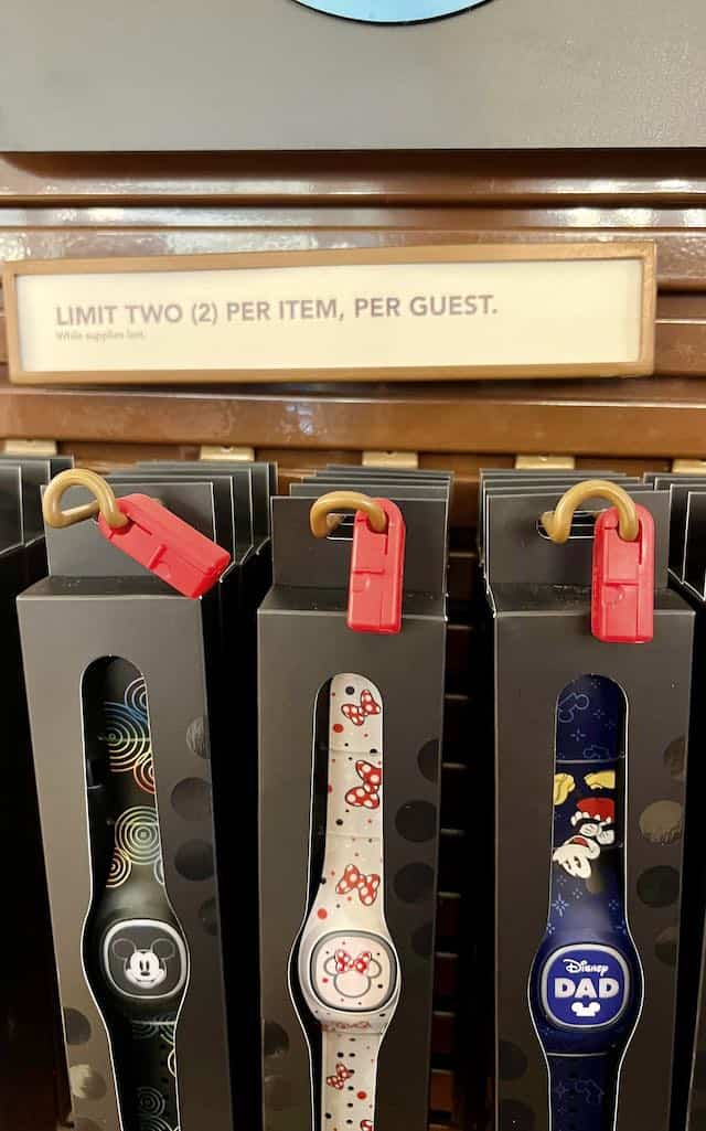 I Can Lock My Front Door with a MagicBand! : r/disneyparks