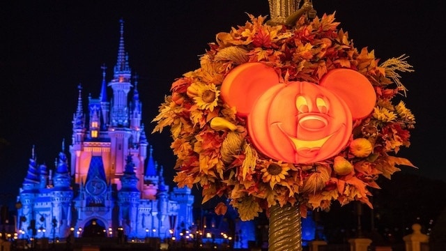 Photos: Halloween decorations go up at Walt Disney World