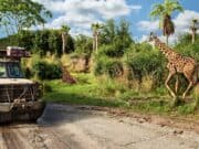 5 Disney World rides that are better during the day