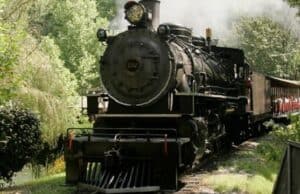 An Exciting Preview of the Harvest Festival in Dollywood
