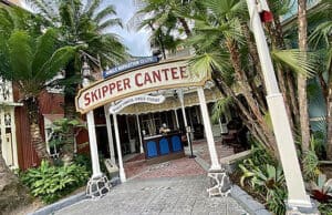 Huge new alcohol policy coming to the Magic Kingdom soon