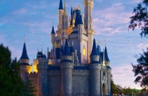 You will not believe what a guest does while being evacuated at the Magic Kingdom