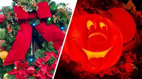 Celebrate Halloween and Christmas in the same Disney World trip