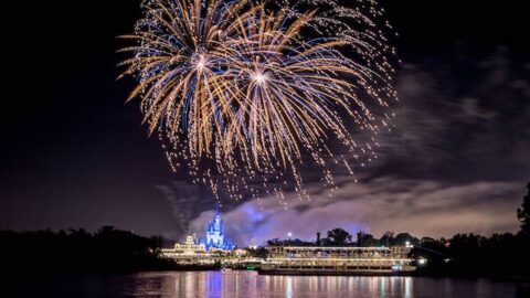 Man with gun arrested for trying to break into cars at Magic Kingdom