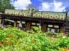Temporary change for Animal Kingdom entertainment caused by Hurricane Ian