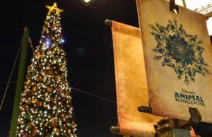 One of Disney World's Best Special Christmas Experiences is Free