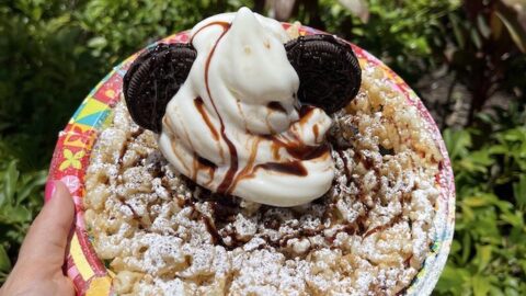 See if food really is better when it is Mickey shaped with this Top 10 list