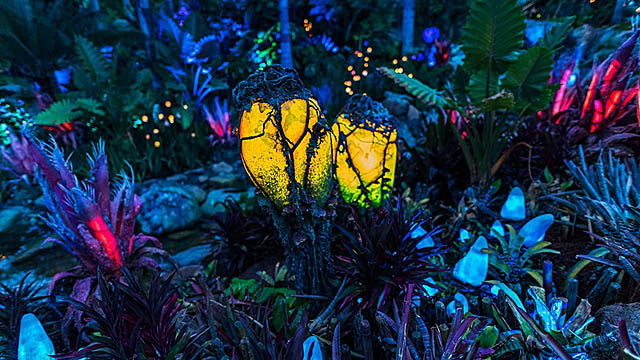 This Special Experience has now returned to Disney’s Animal Kingdom