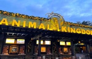 Top 5 Reasons to visit Disney's Animal Kingdom this Christmas