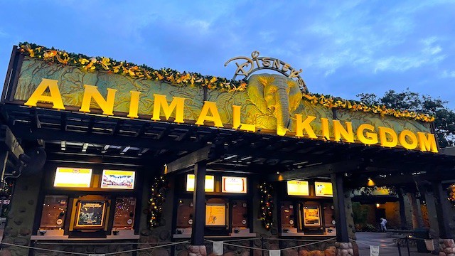 Top 5 Reasons to visit Disney's Animal Kingdom this Christmas -  