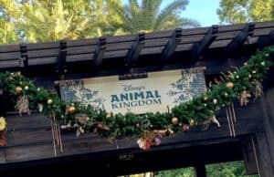 Amazing entertainment returns to Disney's Animal Kingdom
